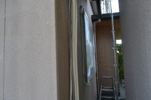 DSC_0934